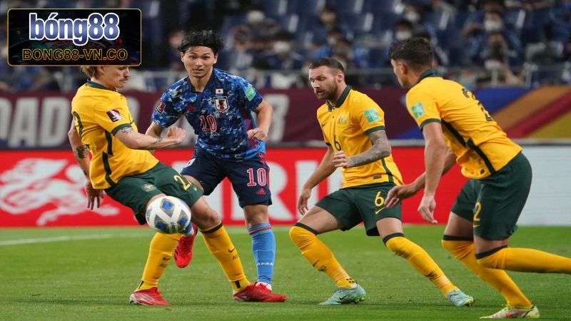 Soi kèo châu Á giữa Australia vs Nhật Bản tại ngày 5/6